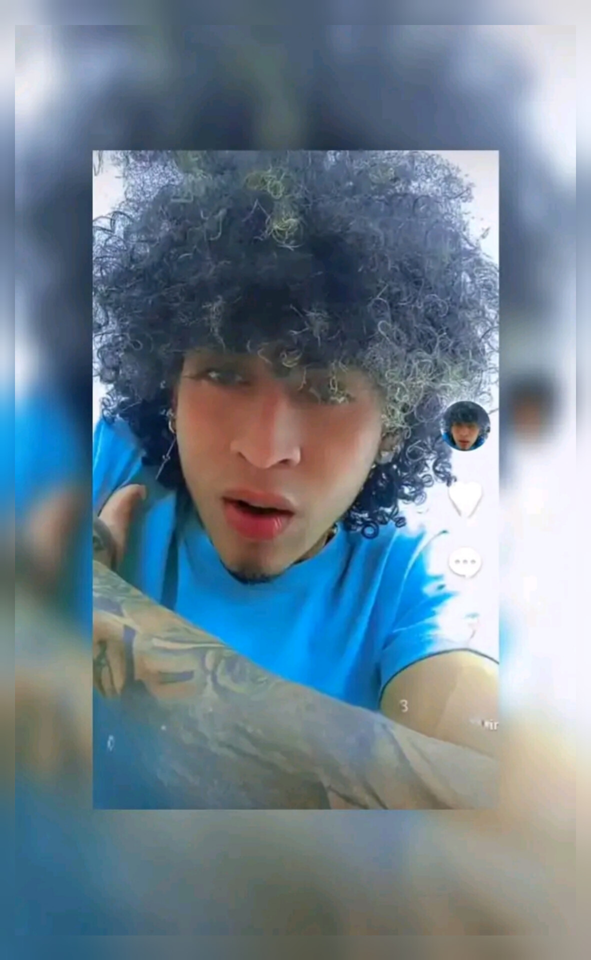 Luis pájaro